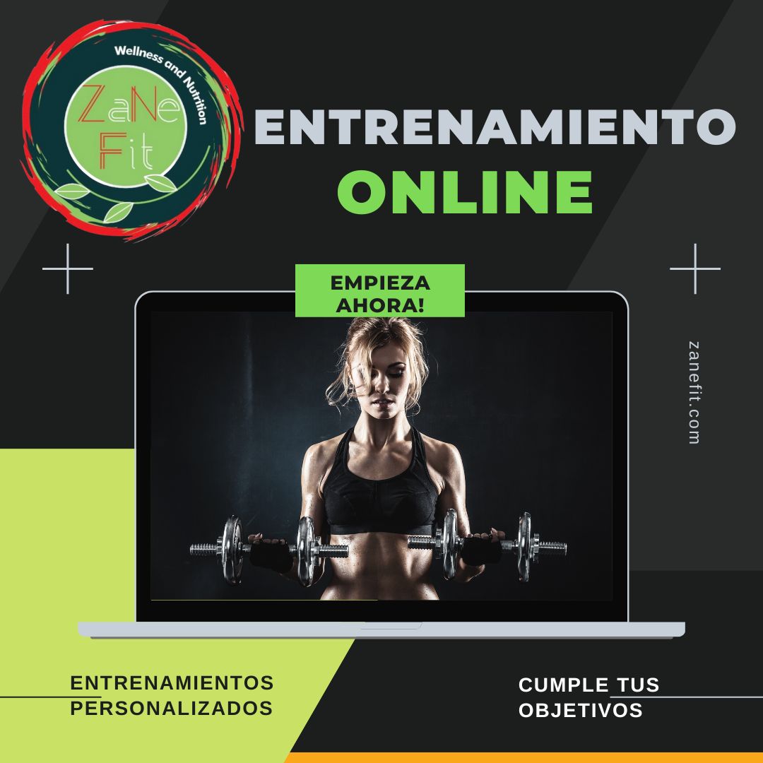 Entrenamiento Personalizado en Linea